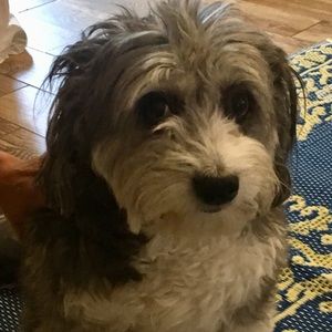 Meet your Posher, Tejasvi